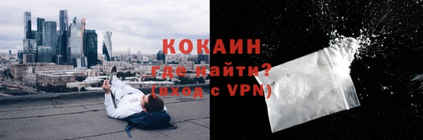 твердый Алексин